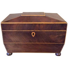 19th Century Tea Caddy with Brass Handles