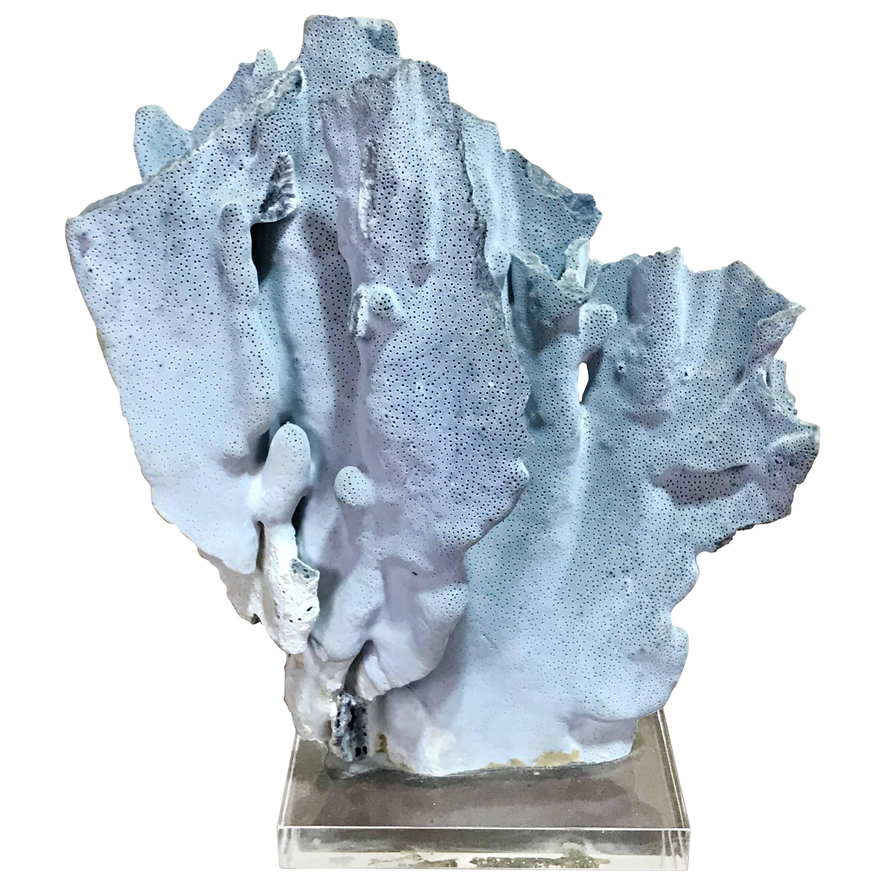 Midcentury Organic Blue Coral Sculpture