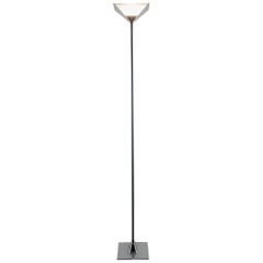 Flos "Papillona" Uplight or Floorlamp in Silvergrey by Tobia Scarpa, 1977