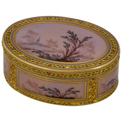 Antique 18th Century Enamel and Gold Box by Le Bastier, Paris, 1778