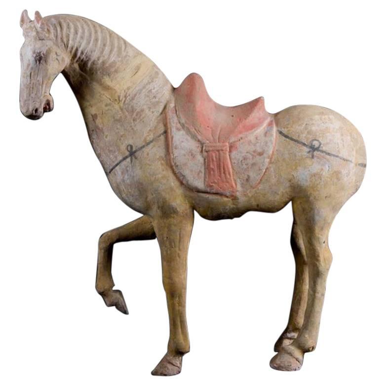 Magnificent Tang Dynasty Prancing Horse, TL Test by ASA Francine Maurer For Sale