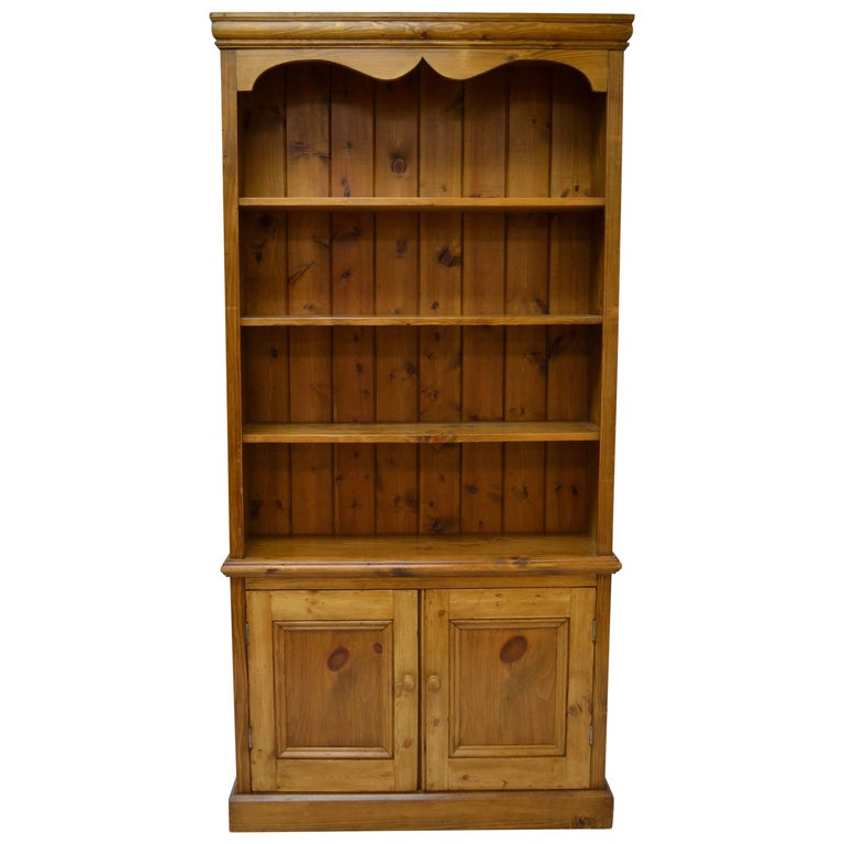 Vintage Pine Bookcase with Two Doors at 1stDibs