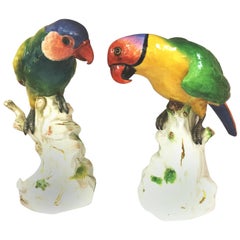 Paire de perroquets de Meissen du 19ème siècle