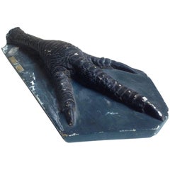 Real-Size Scientific Zoological Plaster Model of Cassowary Feet