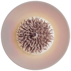Cnidaria C, Unique Handmade Ceramic and Cast Glass Sconce or Flush Mount