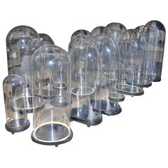 20th C. Glass Covers