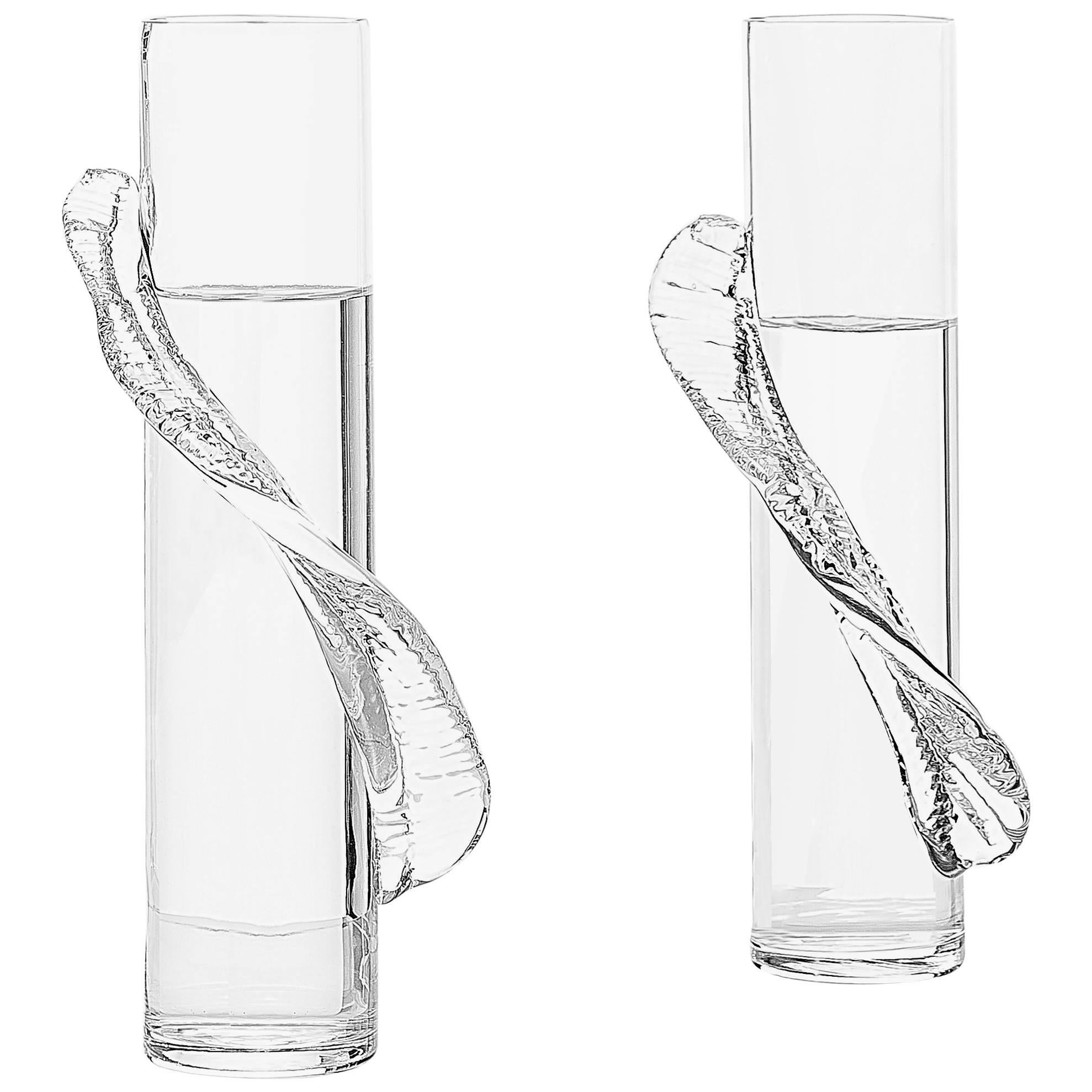 Glass Flower Vase, Transparent, Brazilian Design For Sale