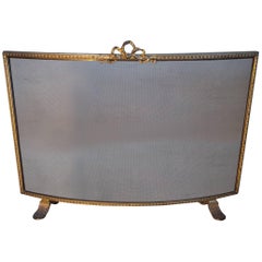 Antique 19th Century Gilt Bronze and Wrought Iron Firescreen with Mint Wire Mesh