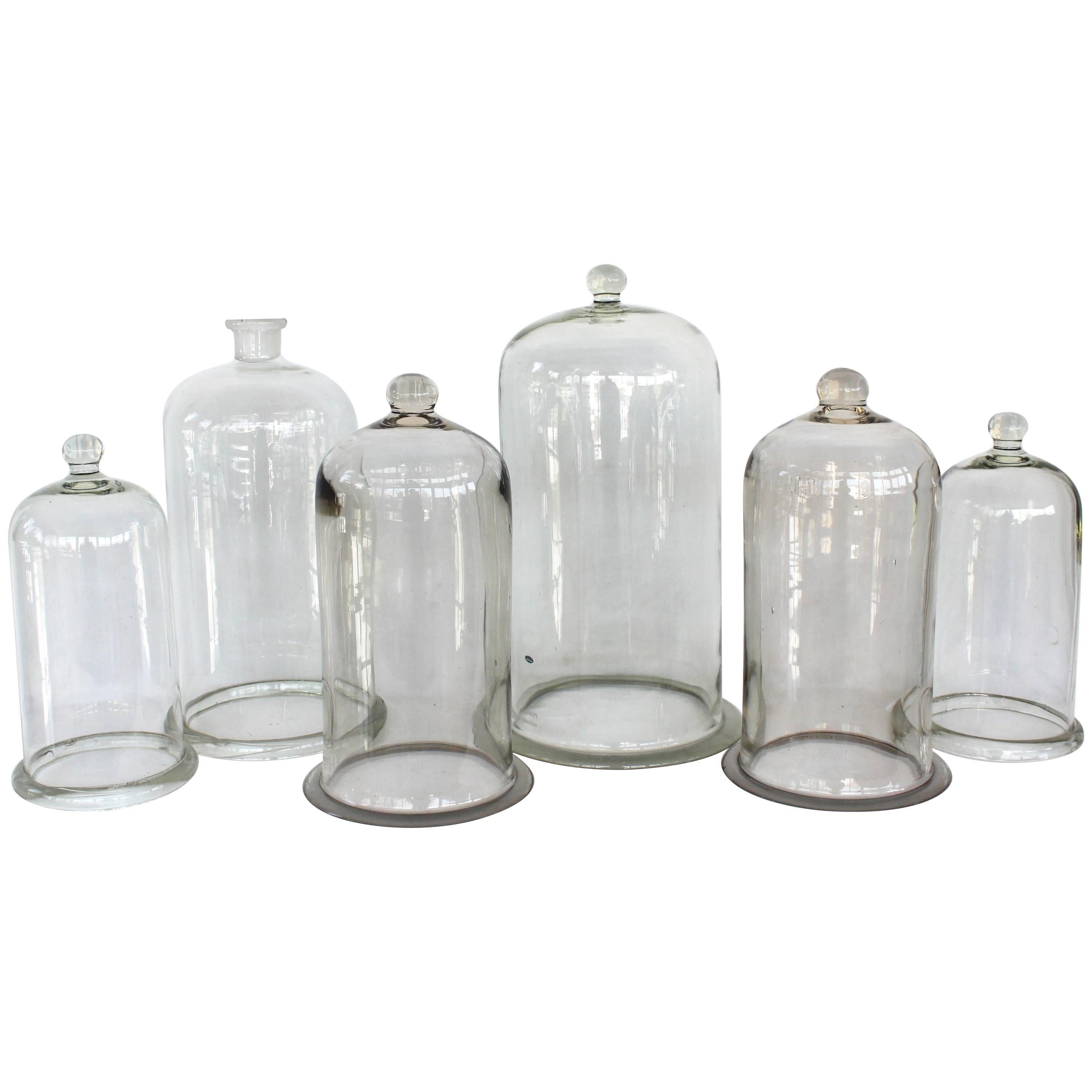 Collection of Antique Glass Cloches