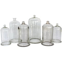 Collection of Vintage Glass Cloches