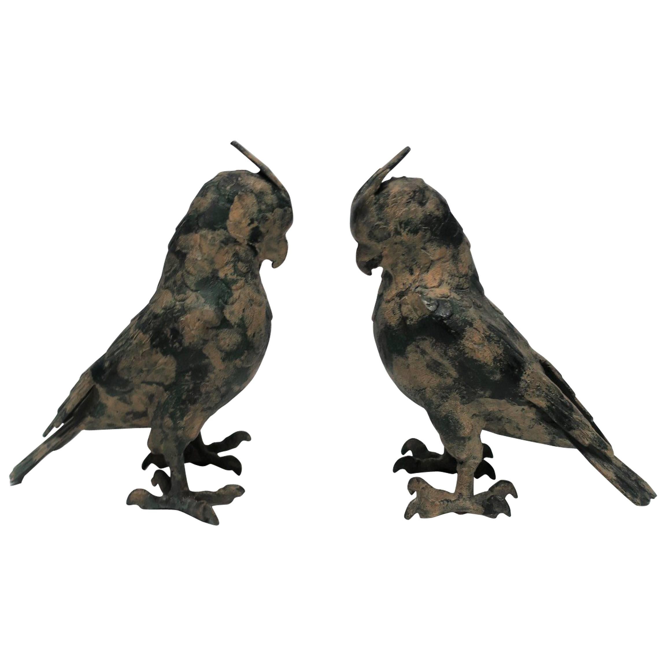 Parrot Birds, Pair 10