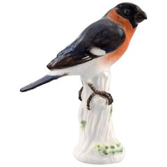 Meissen Figure, Bird in Porcelain