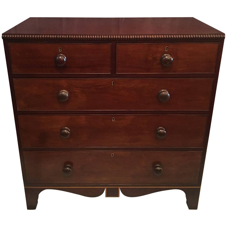 Early 19th Century Jamaican Regency Chest at 1stDibs chest of drawers