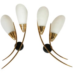 Pair of Maison Arlus Sconces