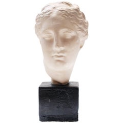 Plaster Bust of a Roman Empress