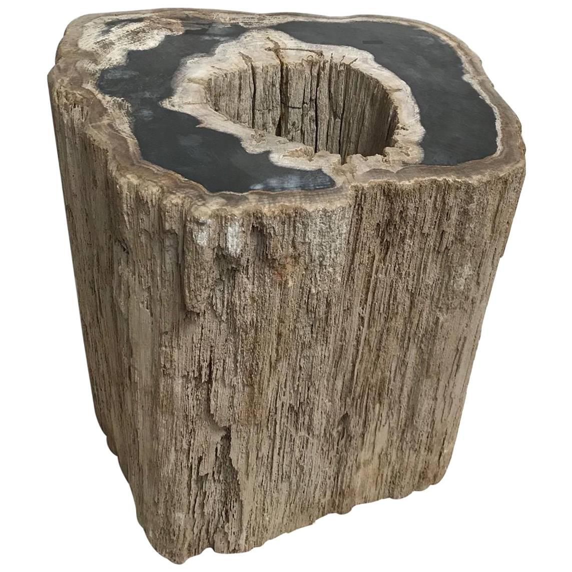 Large Petrified Wood Side Table with Hole All the Way through