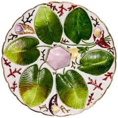 Oyster Plate Oyster Plate