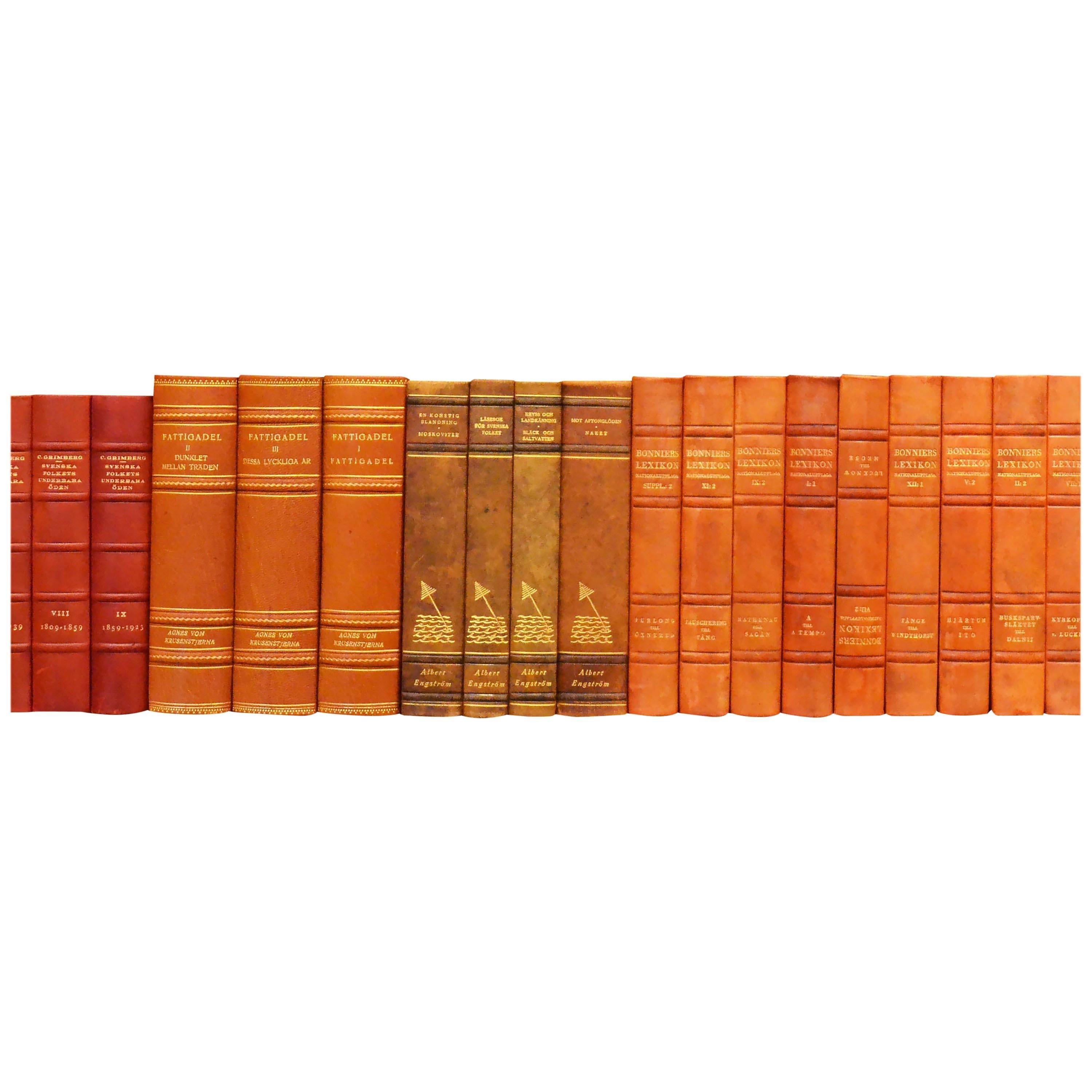 Early 20th Century Leather Bound Library Books Series 43