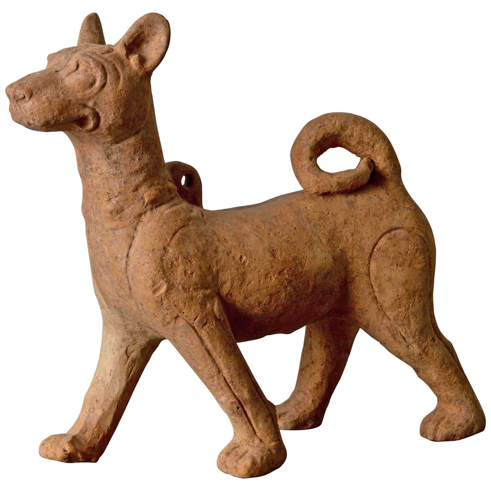 Sculpture Dog Sichuan Pottery Han Dynasty Period China For Sale