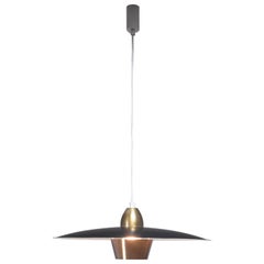 Sigvard Bernadotte Pendant, Sweden, 1950s