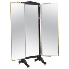 Antique French Brass and Ebonised Wood Mirrored Screen, circa 1890