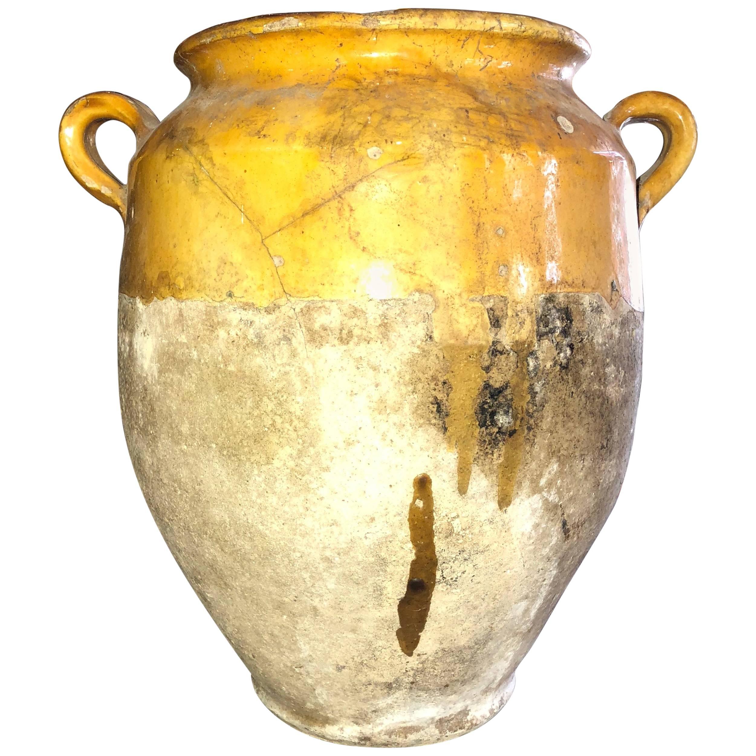 Early 20th Century French Confit Jar For Sale