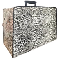 Mid-Century Modern Trunks and Luggage