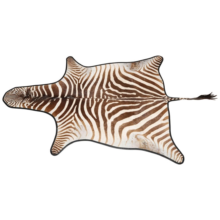 Authentic Zebra Hide Rug, South Africa, 1970 at 1stDibs
