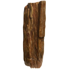 Large Modern Polished Petrified Wood Decorative Specimen