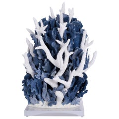 White and Blue Coral Sculpture on Lucite