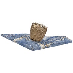 Brazilian Contemporary Sculpture, Surprised by Parasita n°1