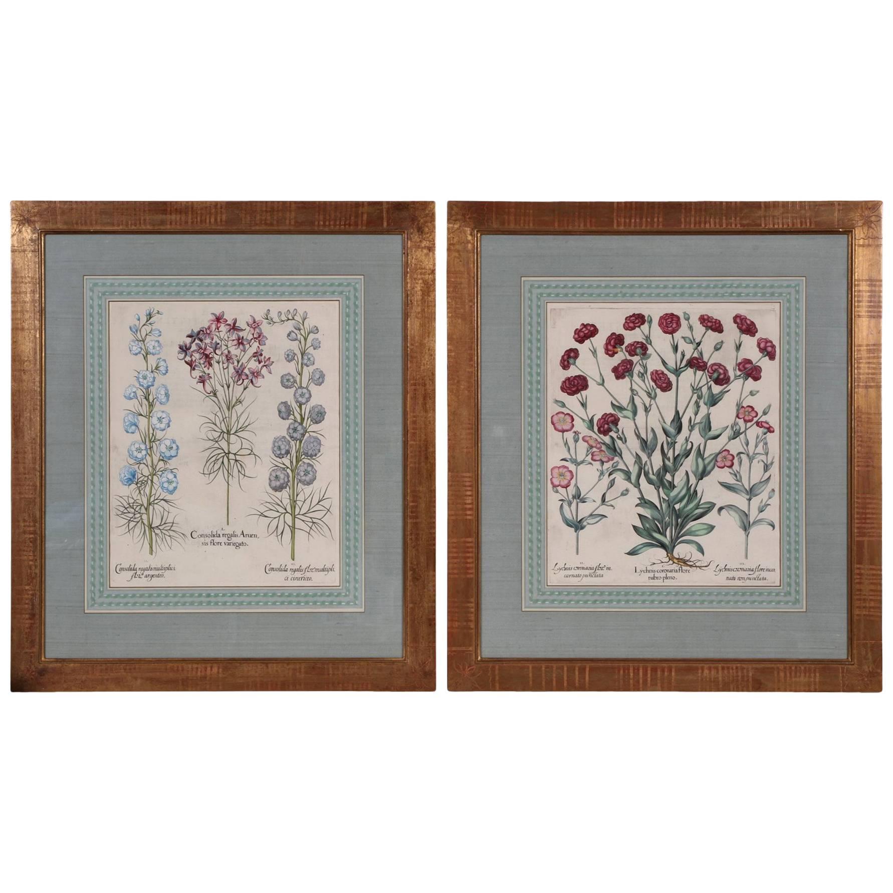 Pair of Early 17th Century Hand-Colored Folio Botanicals by Basil Besler
