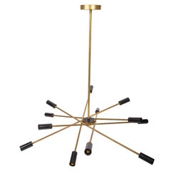 Brass and Black Sputnik Chandelier
