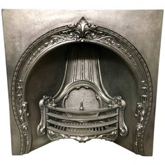 Antique Victorian 19th Century Cast Iron Fireplace Insert Grate