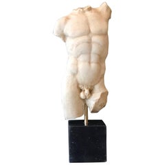 19th Century Grand Tour Style Torso In Marble