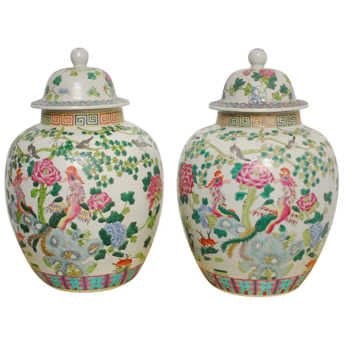 Pair of Chinese Famille Rose Porcelain Ginger Jars