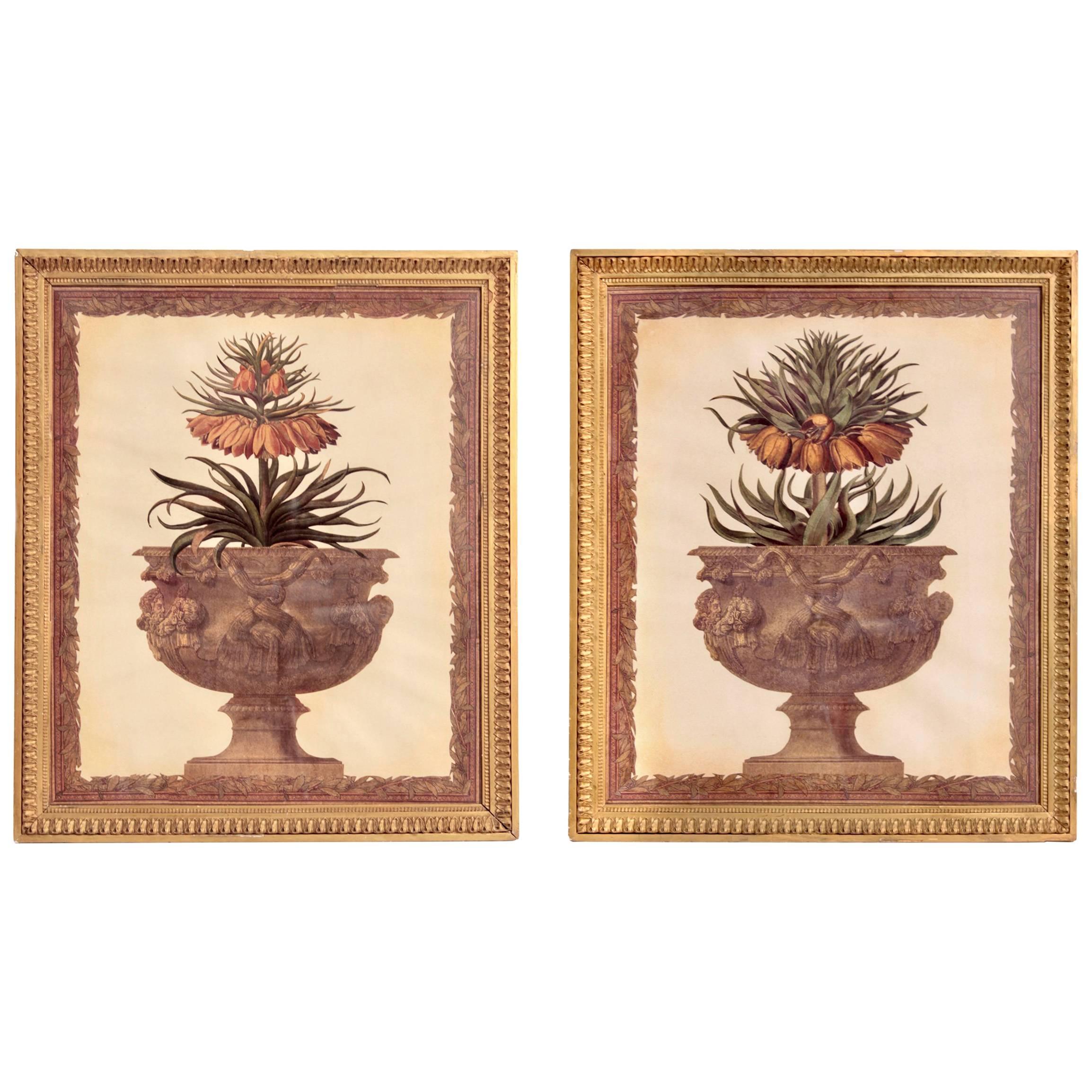 
Pair of paper collage compositions from the 19th century, French work
Original giltwood frames
Dimensions: 60 cm W x 70 cm H x 2 cm D
Provenance: Nice, France.
 