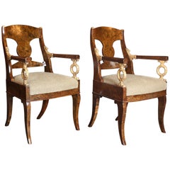 Pair of 19th Century Russian Empire Carpathian Elm Burl and Gilt Armchairs