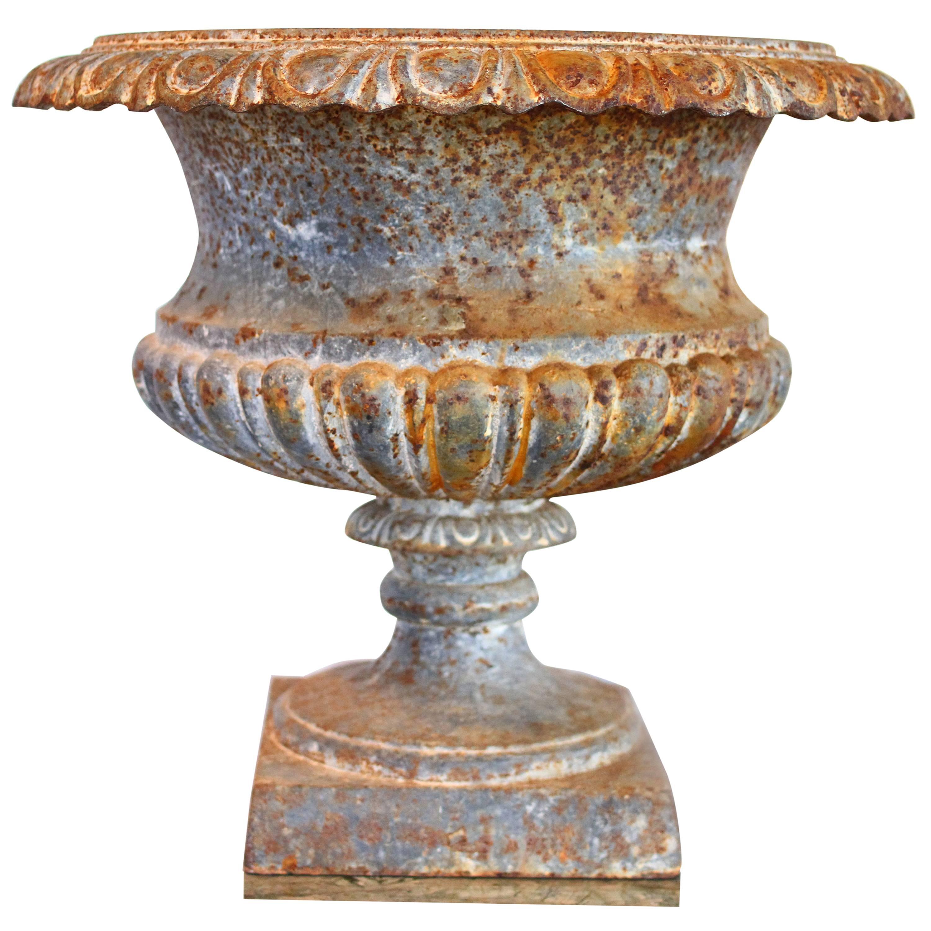 Gorgeous 19th Century French Cast Iron Garden Urn with Egg and Dart Rim
