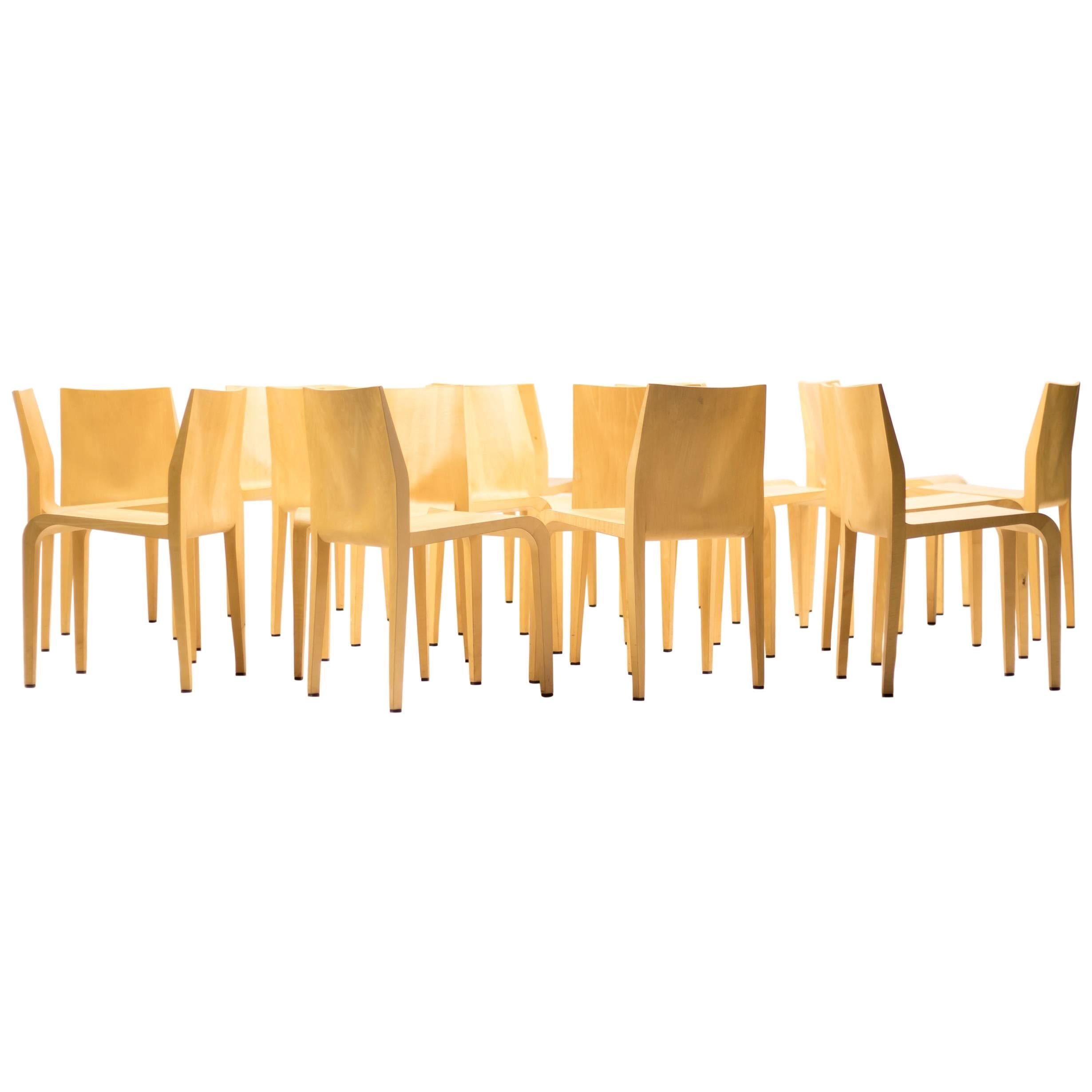 Set of 16 301 Laleggera Chairs in Maple