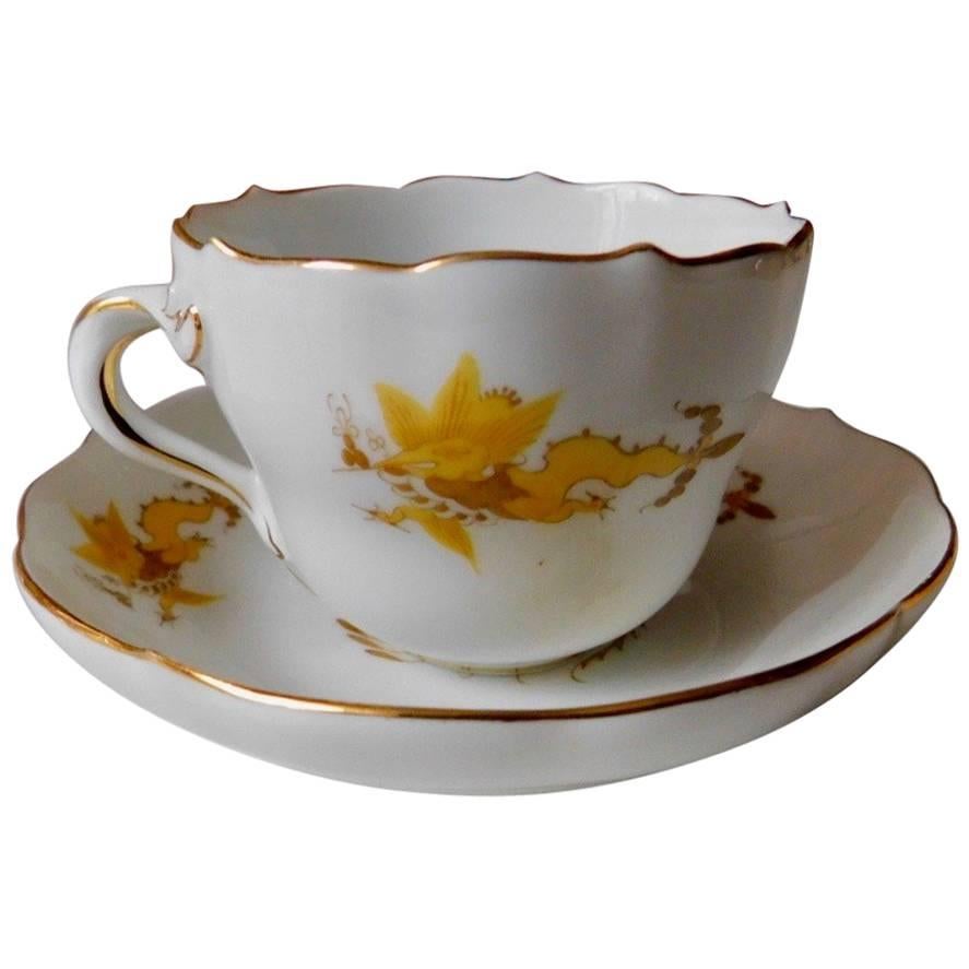 Meissen Porcelain Golden Dragon Teacup and Saucer