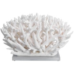 Custom Coral Sculpture on Lucite