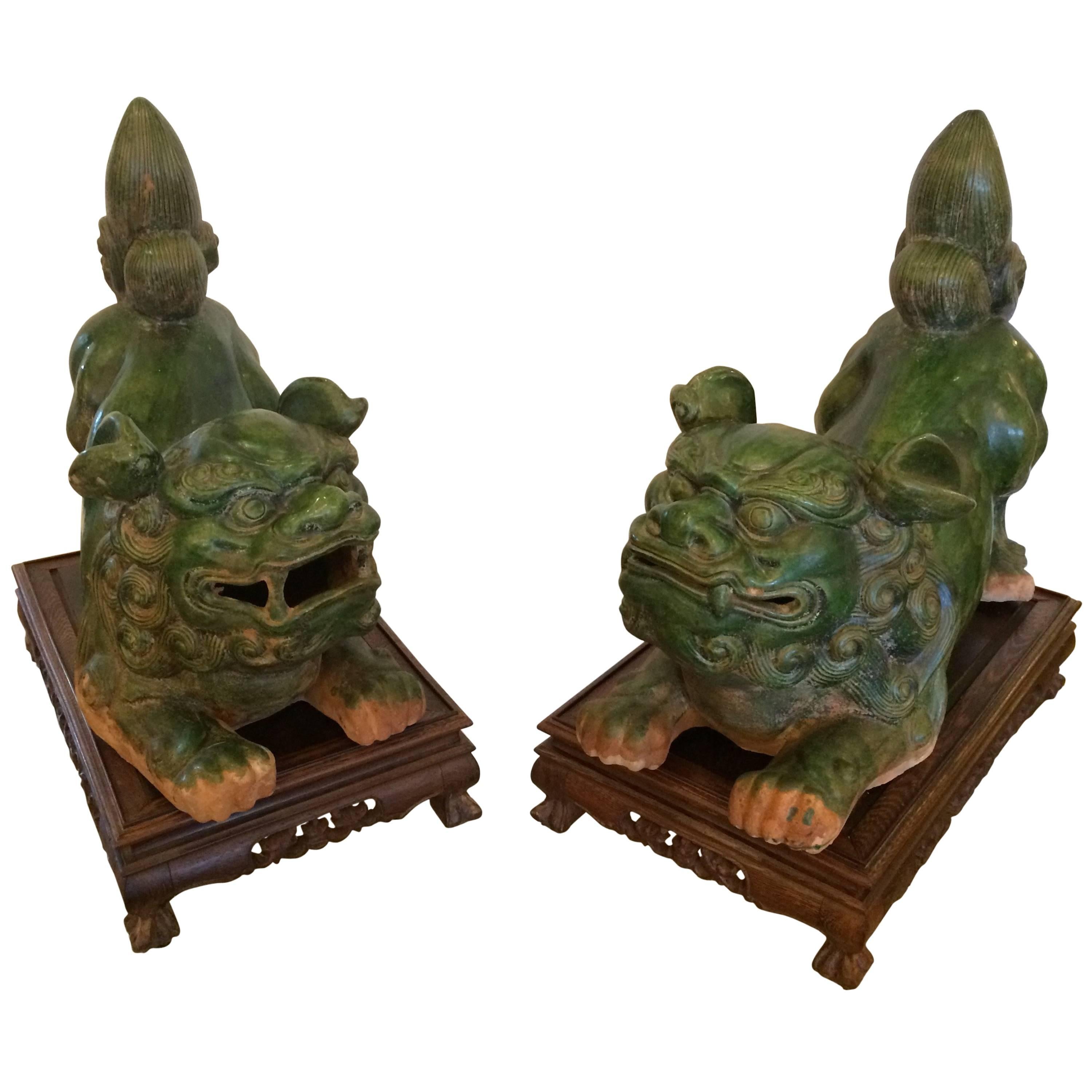 Monumental in Scale Fabulous Green Terracotta Foo Dogs on Stands