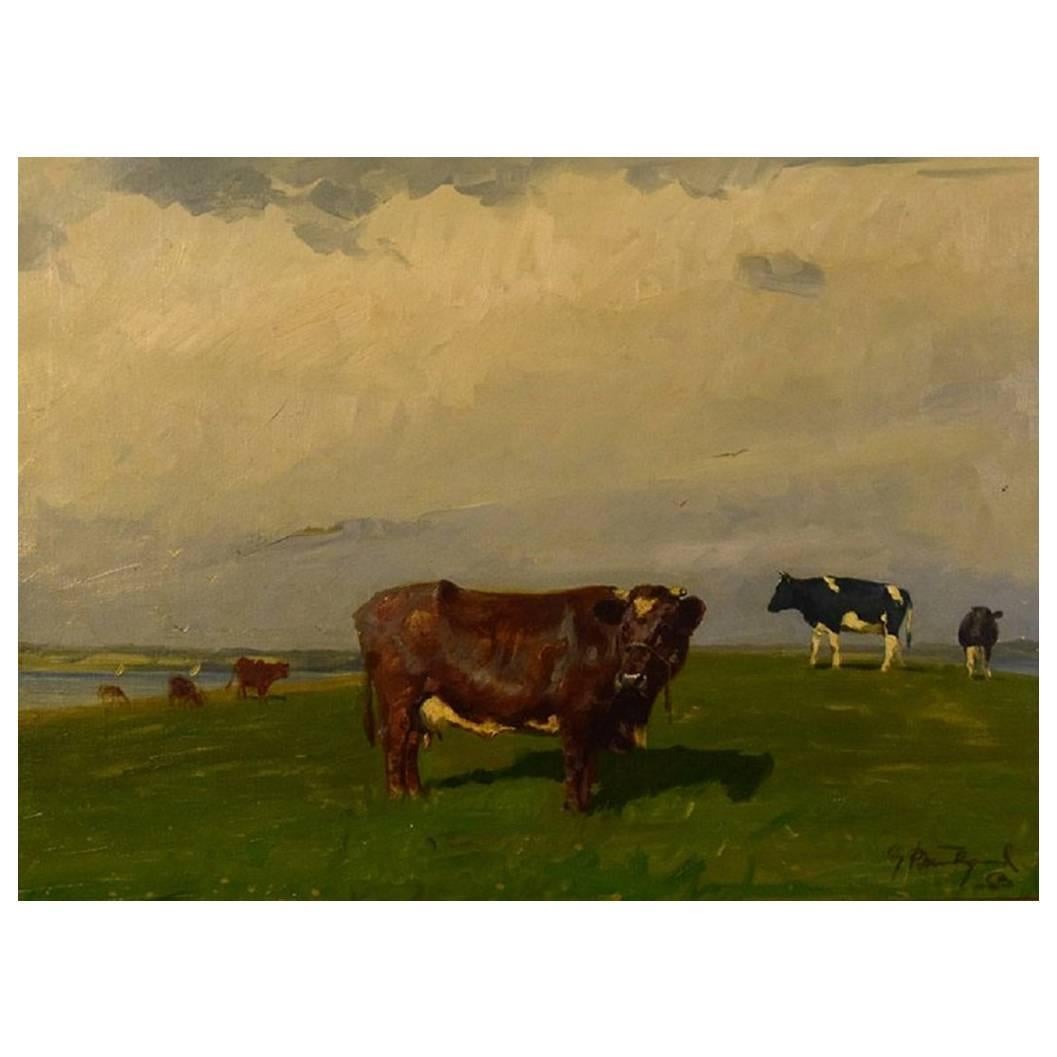 Gunnar Bundgaard, Cows on the Field, Oil on Canvas