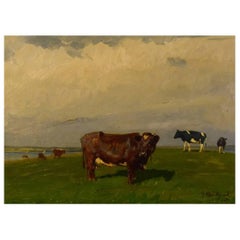 Gunnar Bundgaard, Cows on the Field, Oil on Canvas