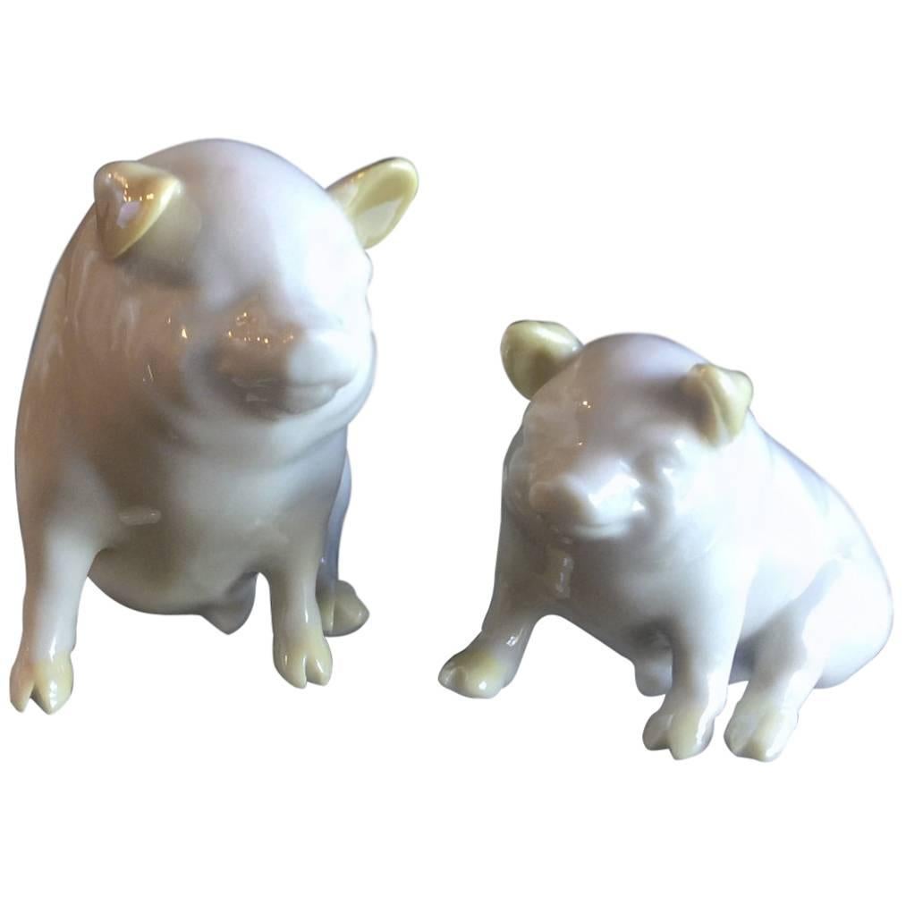 Pair of Porcelain Miniature Pigs by Belleek For Sale
