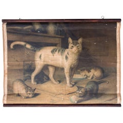 Cats, cat, Antique educational chart , by Herman Leutemann, 1878