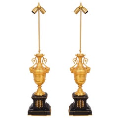 Pair of Classical 19th Century Gilded Lamps