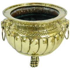 Polished Brass Jardiniere or Planter with Cast Feet, 19th Century