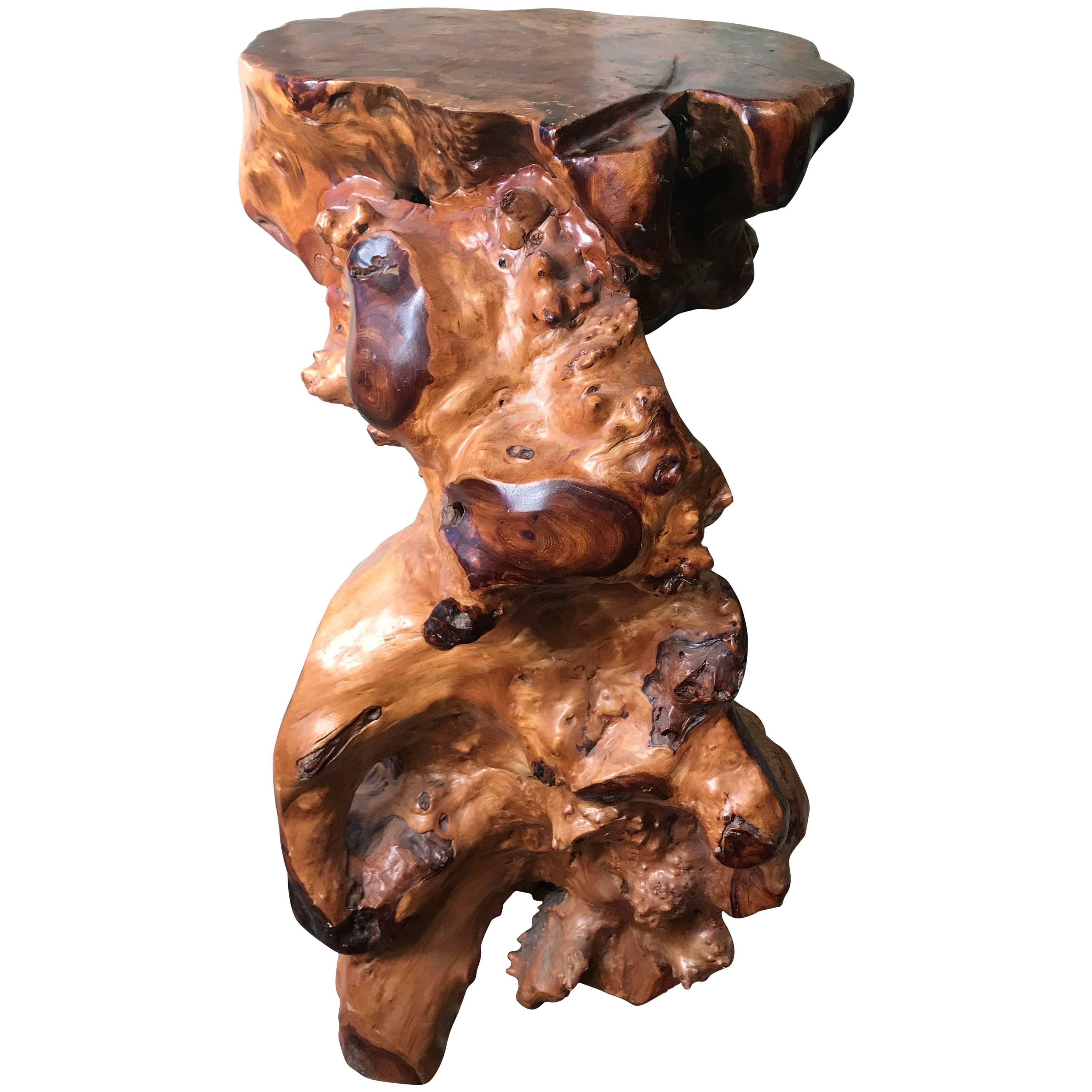 Natural Organic Burl Wood Flower Display Table, 38" For Sale
